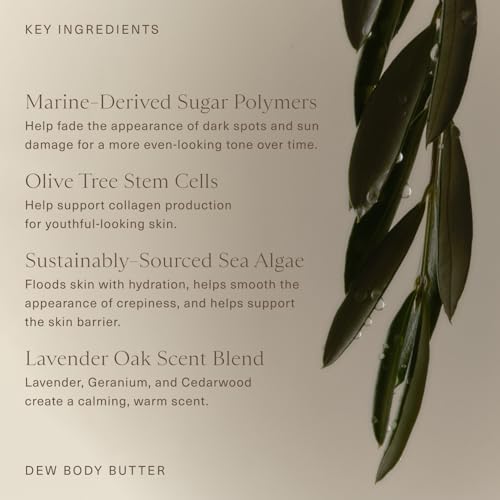 Oak Essentials Dew Body Butter | Rich, Whipped Body Moisturizer for Dry & Crepey Skin | Visible Hydration, Firming & Smoothing, 5.3 oz
