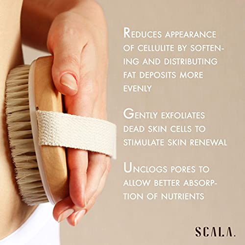 Scala Anti Cellulite and Exfoliator Bundle - Massager and Wet Dry Brush for Body Scrubber, Face and Body Massager, Exfoliates Dead Skin, Improving Circulation