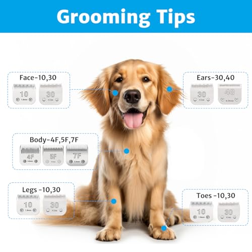 Size 10 Clipper Blade Dog Grooming Fits for Most Andis dog clippers, Wahl KM Series and Oster A5, 1.5mm (1/16 inch) Length