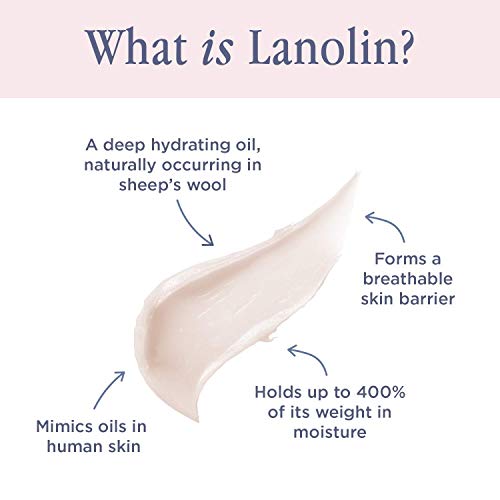 Lanolips 101 Ointment Multi-Balm, Strawberry - Fruity Lip Balm with Vitamin E Oil and Lanolin for Lip Hydration - Naturally Flavored Lanolin Lip Balm for Very Dry Lips - Dermatologist Tested (.35 oz)