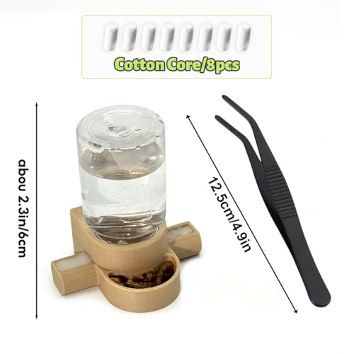 Magnetic Jumping Spider Water Dispenser & Feeder with Tweezers
