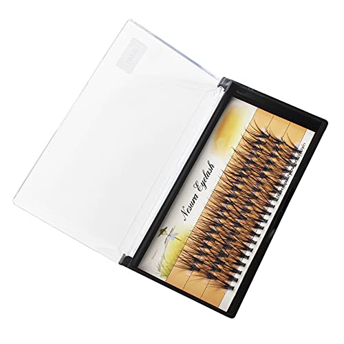 Bodermincer Eyelashes Cluster lashes C curl Thickness 0.07mm 20 Roots 60pcs Individual Fake False Eyelashes Cluster Black Eye Lashes Lashes Eyelash Extensions (15mm)