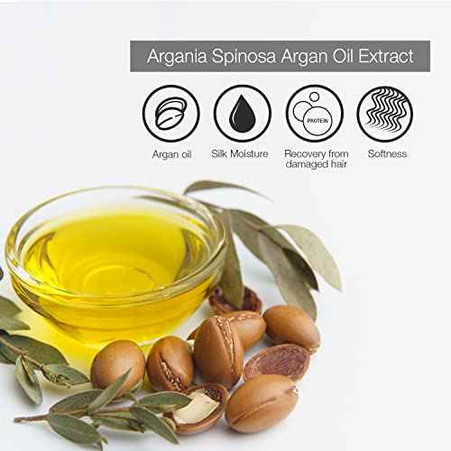 Stabilizer Plus The After-Relaxer Conditioner With Penetrating Foaming Action Approximate pH. 3.5 (16 Fl Oz (Pack of 1))