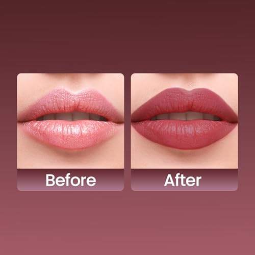 Swiss Beauty Pure Matte Creamy Lipstick - Hazelnut