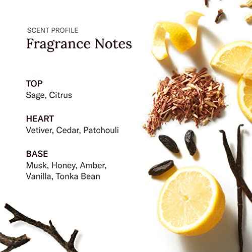 SCENT BEAUTY STETSON Personal Care Face & Beard Moisturizer Facial Moisturizer for Men - Cream for Face & Beard - 5 oz - 3 Pack - Original Fragrance