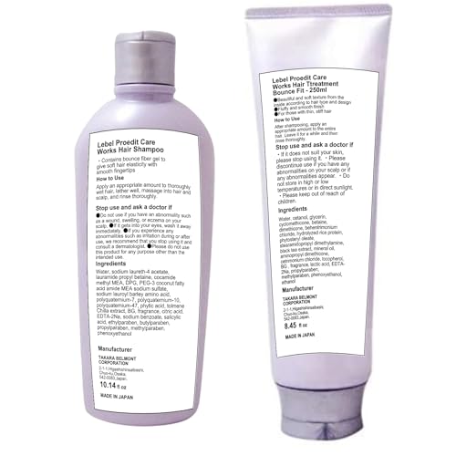 Lebel Proedit Care Works Hair Shampoo 300ml & Ttreatment 250ml Set -
