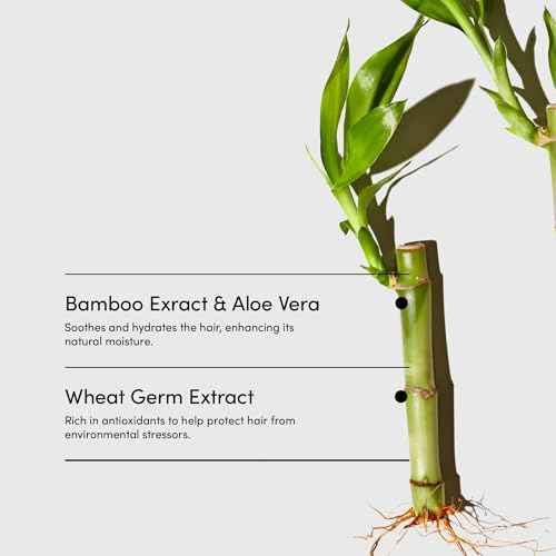 LATHER - Bamboo Lemongrass Hair Wash, 8 fl oz (2-Pack) - Daily Shampoo & Cleanser - Revitalize Hair - Bamboo, Comfrey, Chamomile - Sensitive Skin Safe - Vegan & Cruelty Free - Beauty & Hair Care