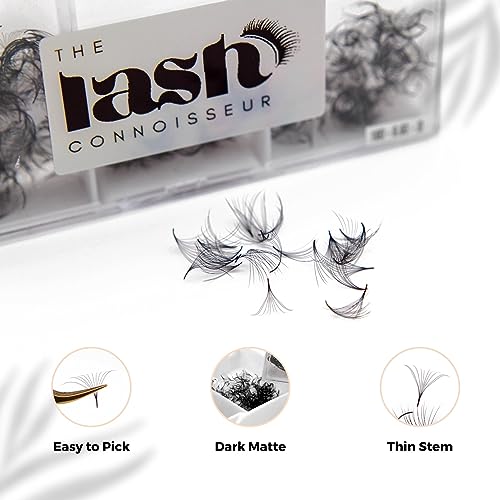 6D - D Curl 750 Fans Mixed Promade Fans Lash Extensions | TLC Lash Supplies 4D to 16D Premade Fans 7 mm to 16 mm Mixed Length Thin Base Premade Fans Eyelash Extensions (6D - D Curl, 13-14-15 mm)