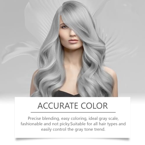 Silver Hair Dye 2-in-1 Coloring & Conditioning, 3.53 Fl Oz