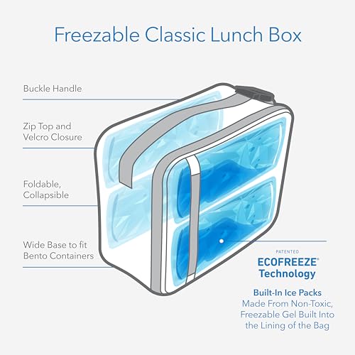 PackIt Freezable Classic Lunch Box, Checked Out, Built with EcoFreeze Technology, Collapsible, Reusable, Zip Closure With Zip Front Pocket and Buckle Handle, Perfect for School Lunches