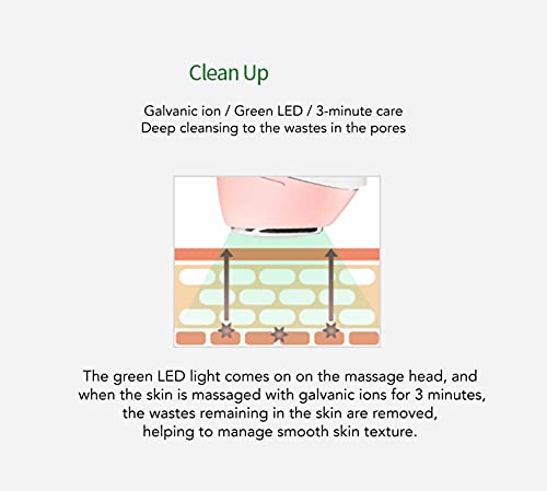 Vanav UP6 Galvanic Ion Beauty Device with LED Light Therapy