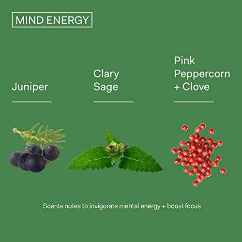 The Nue Co. MIND ENERGY Instant Stress Relief Unisex Fragrance - Clary Sage, Juniper, Pink Peppercorn + Clove - Vegan 50mL / 1.69 oz
