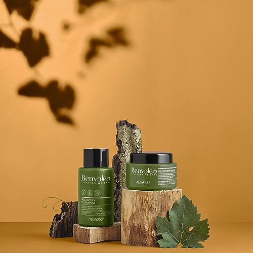 ALFAPARF MILANO Benvoleo Recovery Mask for Damaged Hair - Clean, Vegan, Sustainable Hair Care - Repairs, Reconstructs, Protects - Paraffin Free - Natural Ingredients - 8.45 FL. Oz.