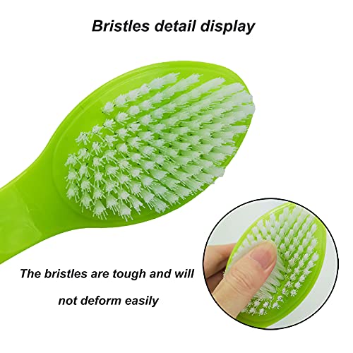 WAFJAMF Foot Stone Brush Exfoliating Brush Shower Foot Srubber with Pumice(1 PCS Green)