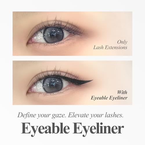 BL Lashes Liquid Eyeliner ? 24Hr Long Lasting, Smudge Proof & Fade Resistant, Ultra Precision Brush Tip, Easy Removal Formula, Safe for Lash Extensions & Lift (Black, 0.5ml)