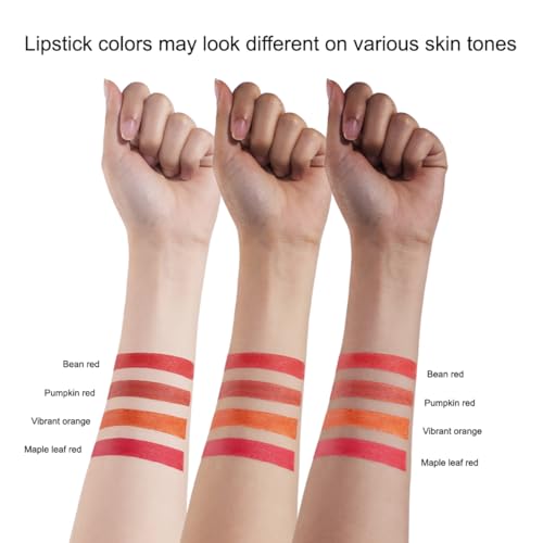 4 Colors Mini Tube Mate Velvet Lipstick, Long - Lasting 24H Waterproof Lip Tint,Vegan Beauty, Hydrating Red Lip Stain for Women, Non - Sticky Smooth Lip Makeup Set