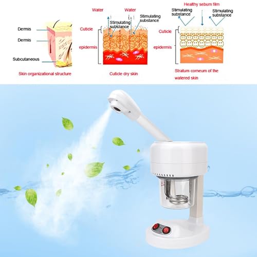 Tabletop Steamer, Portable Beauty Salon Hot Mist Face Steamer, Hydrating Moisturizing Spray Machine for Home and Beauty Salon, Deep Cleaning(US 110V)