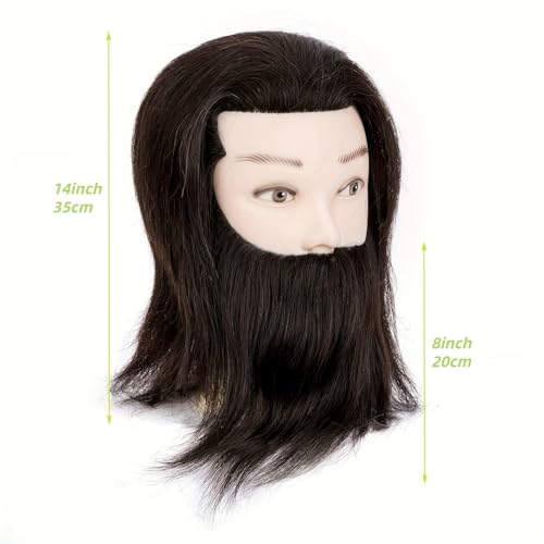 Male Mannequin Head with Human Hair 22" Circumference Barber Practice