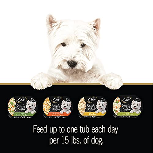 CESAR SIMPLY CRAFTED Adult Soft Wet Dog Food Cuisine Complement Variety Pack, (24) 1.3 oz Tubs