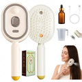 Electric Spray Air Cushion Massage Hair Brush - 5 in 1