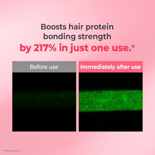 KUNDAL Protein Bonding Shampoo & Conditioner Set 16.9 Fl Oz