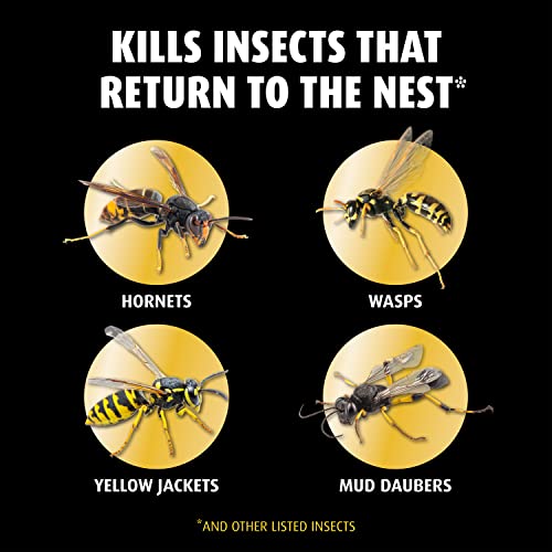 Ortho Home Defense Hornet & Wasp Killer7 For Insects