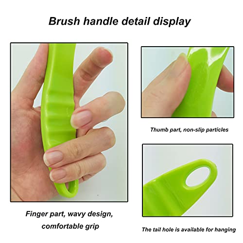 WAFJAMF Foot Stone Brush Exfoliating Brush Shower Foot Srubber with Pumice(1 PCS Green)