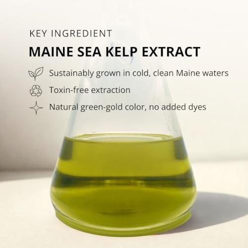 KelpGlow Facial Oil with Kelp Extract - Coastal Lavender - Nourishing Face Oil for Glowing Skin - Clean & Natural Ingredients, Non-Greasy Formula - 30ml/1oz