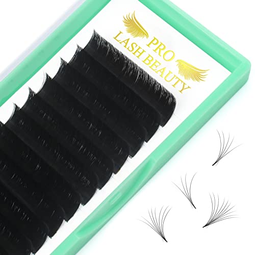Volume Lash Extensions D-0.07-14 Easy Fan Flowering Rapid Blooming Eyelashes 9 to 20 mm Mega C D Curl (D-0.07,14 mm)