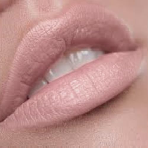 By The Clique Premium Long Lasting Matte Pale Pink Nude Lip Liner Pencil | Everyday Play¡¦