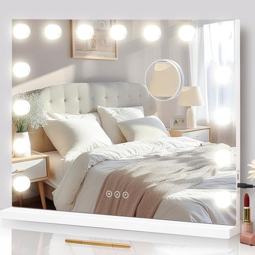 Vanity Mirror with Lights - 24x18 LED Makeup Mirror, 10X Magnifying, Touch Control