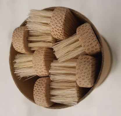 Gaia Guy Natural Bristle Bamboo Toothbrush (NO Nylon - Boar Hair ONLY) - Totally Compostable & Biodegradable Boar Bristle and Bamboo Toothbrushes - Zero Waste - 6-Pack