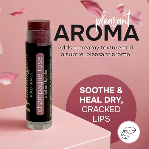 Natural and Organic Tinted Lip Balm Champagne Rose