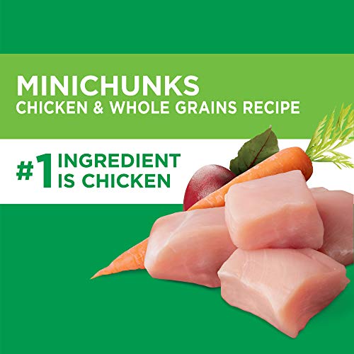 Iams Proactive Health Minichunks with Chicken & Whole Grain Recipe Adult Dry Dog Food, 44 lbs.