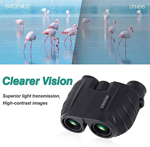 Compact Binoculars, High Powered Binoculars for Adults with Low Light Night Vision, Easy Focus Binoculars Clear for Bird Watching, Outdoor Sports Games and Concerts