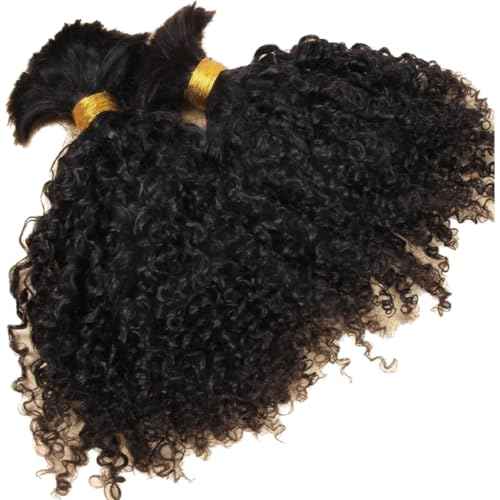Afro Kinky Bulk Human Braiding Hair 100% Unprocessed Brazilian Virgin Human Hair Extensions Micro Kinky Curly Braids Hair Braids Double Drown Full End Bulk Hair 18 Inch 100g