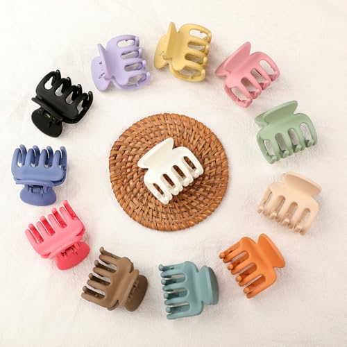 Small Claw Clips for Thin & Thick Hair - 12 Pack Colorful