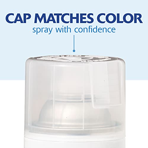 Rust-Oleum Painter's Touch 2X Ultra Cover Spray Paint Gloss Clear 12oz - Indoor/Outdoor Finish
