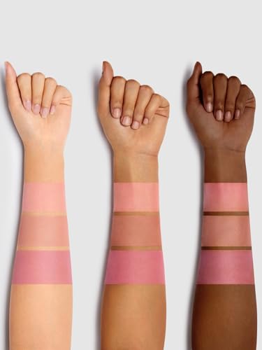 SHEGLAM Sweet Cheeks Blush Trio - High Pigment Powder