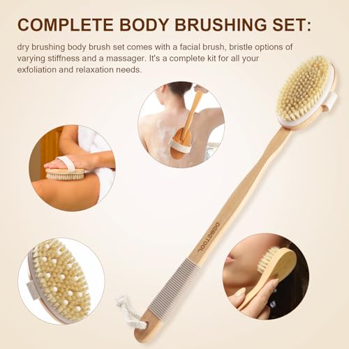 Dry Brush Set with 3 Detachable Heads & Natural Boar Bristles