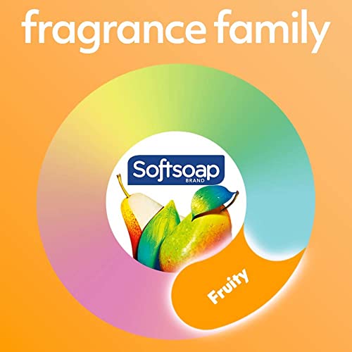 Softsoap Antibacterial Liquid Hand Soap, White Tea & Berry Scent Hand Soap, 11.25 Ounce, 6 Pack