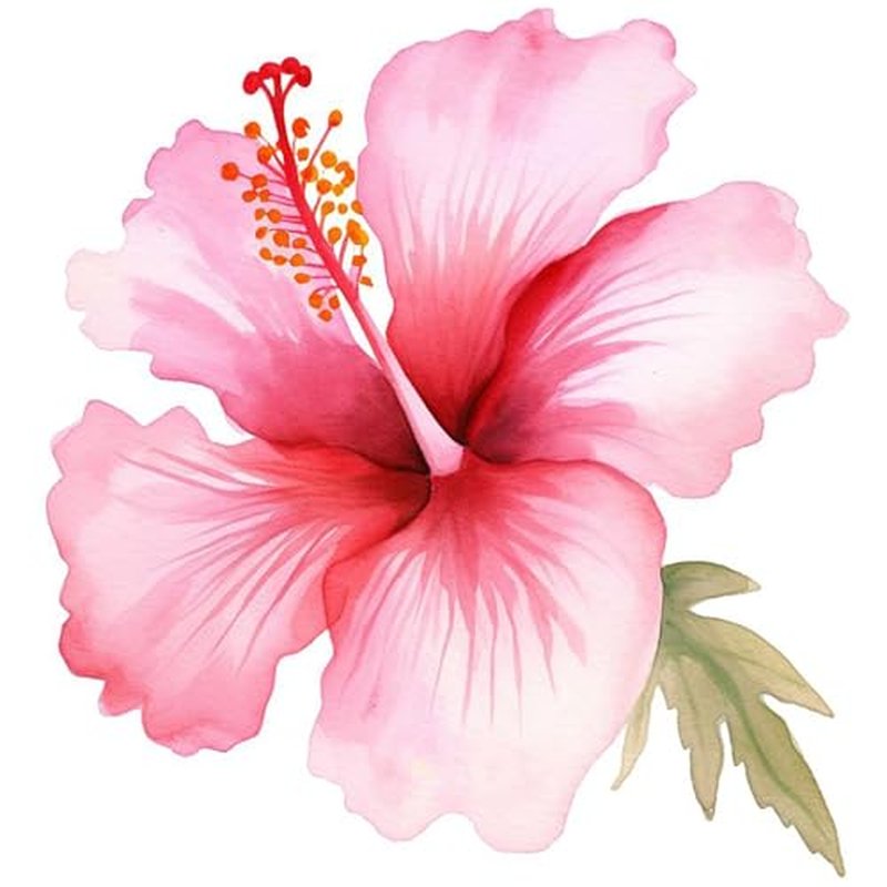 Wild Plant 6 Sheets Temporary Tattoos for Men Adults Wildflower Hibiscus Pink Flower in a Watercolor Style Isolated Full Name of The Temporary tattoo for Women Neck Arm Chest for Woman