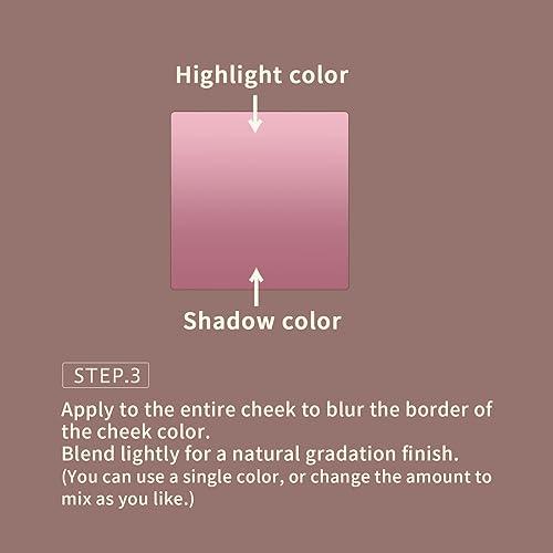 MilleFée Angel Gradation Blushes 5g Lone Wear Shimmer Millefee Powder Palette for Beauty Cheek