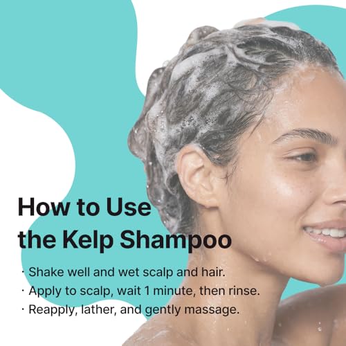 Korean Kelp Shampoo for Itchy Sensitive Scalp - Sulfate-Free 500ml