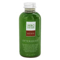 Honeybee Gardens: Men's Products, Herbal Gluten-Free Vegan Aftershave, Bay Rum, 4 oz