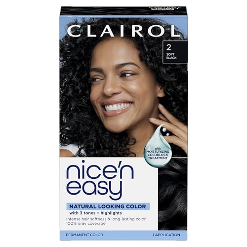Clairol Nice'n Easy 2 Black Permanent Hair Dye – 6.26 fl oz