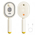 Rechargeable Electric Steam Hair Brush with Red Light & Mist
