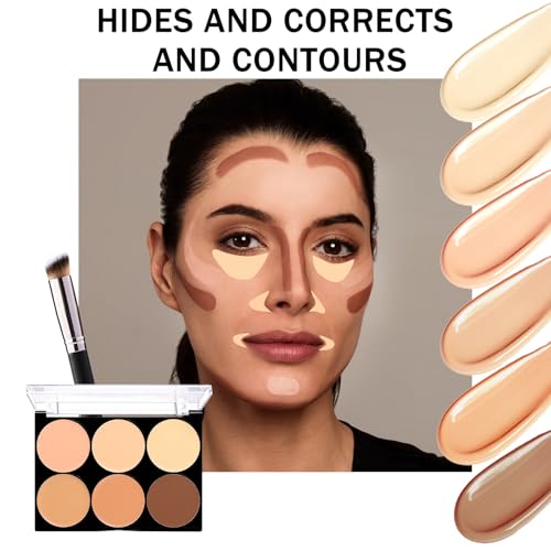6-Color Correcting Concealer Palette | Waterproof Long-Lasting