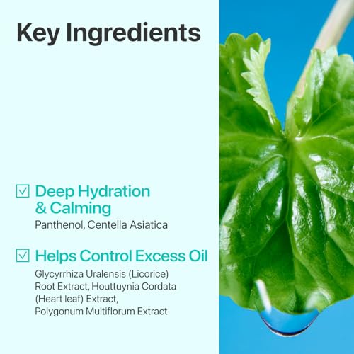 numbuzin No.1 Toner | Pure-Full Calming Herb Toner | Breakouts, Redness, Excess Oil Control | Centella Asiatica, Heartleaf, Licorice Root | Acne-Prone, Sensitive Skin | 10.14 fl. oz.