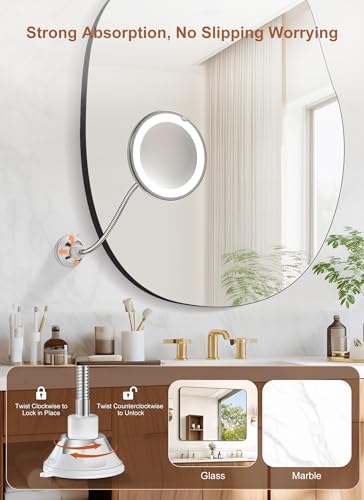 10x Magnifying Mirror with LED Light & Gooseneck